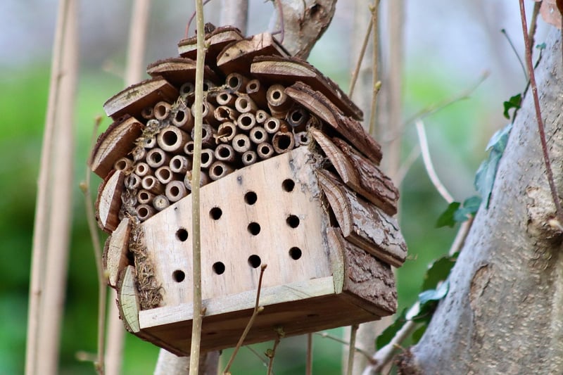 Bug Hotel